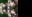 iPhone XS MAX / iPhone11 Pro MAX 用(1242x2688pix):SEXY裸婦壁紙(3種) ~2020年❤冬号~