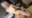 🌟F●O🔞マ●ュ逆バニーコス🌟神がかったスタイル！H65のツンと上を向いた美爆乳！栃木在住で工場ライン勤務、週末限定上京レイヤー！職場ではパッとしない地味子なのにSNSではド派手コス！恋愛セックス備忘録【buena116】
