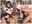田舎の雑草陰毛JKの全て💕(+未公開動画&画像)合計画像166枚、動画7分以上