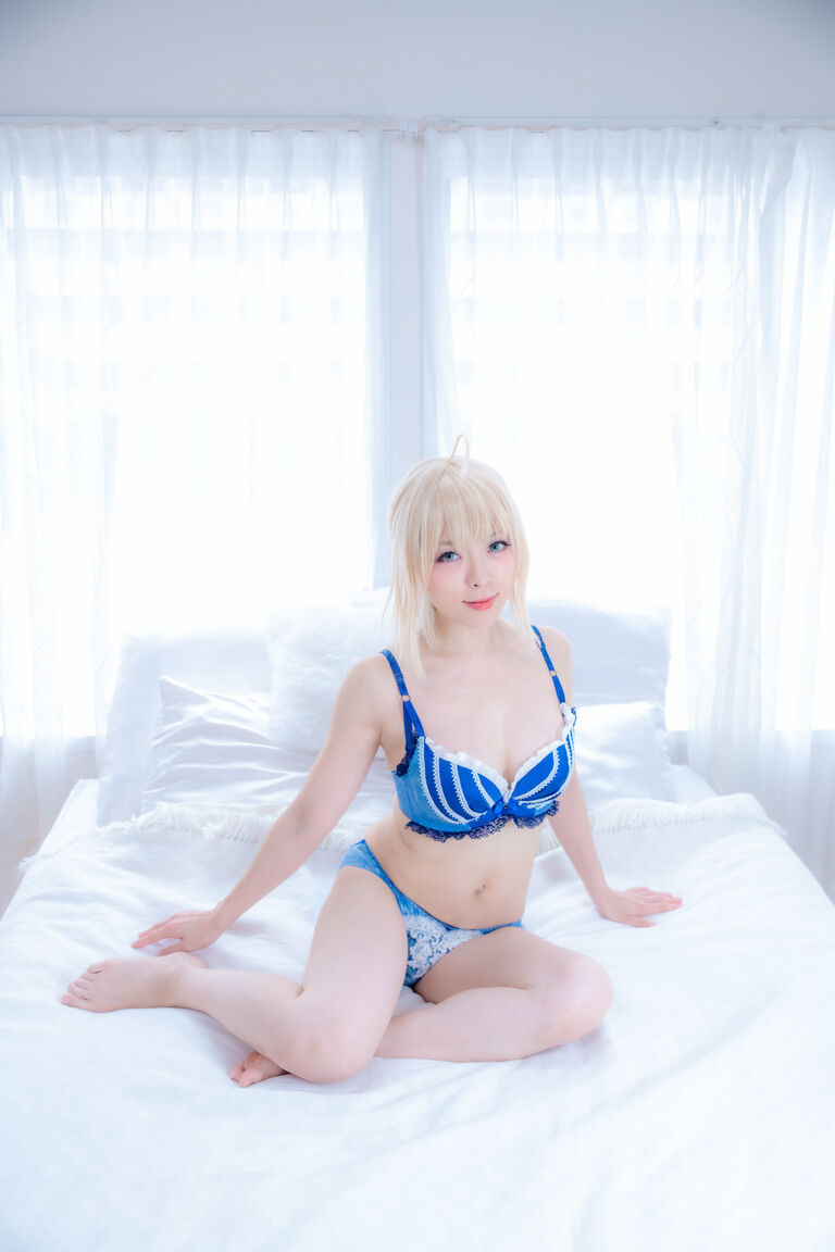 【4月分DL写真集】Fate ドリームテックシリーズ ランジェリー シリーズ 