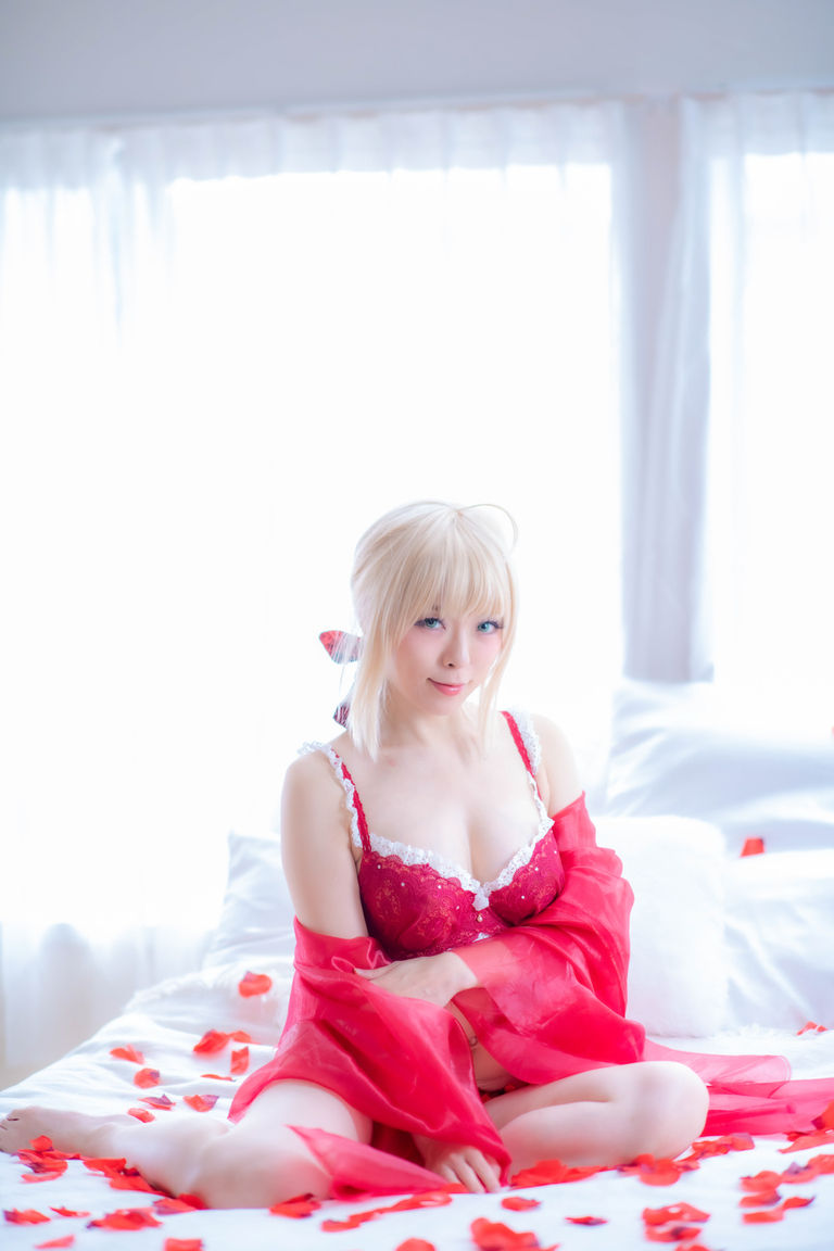 【4月分DL写真集】Fate ドリームテックシリーズ ランジェリー シリーズ
