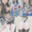 ハルヒコスプレ＆黒髪サイドテール＆猫コス・イラスト