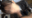 🔞メガネ地味子の逆バニーコス🔞某●役所の事務員さん…!つまり現役の公●員レイヤーがメス堕ち交尾!唾液ゴク飲み、喉ボコ、ケツが真っ赤になるまでひっぱたき、膣奥エグり突き、スケベ潮まき散らし変態アクメ!【buena139】