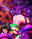 Ｓ○Ｗ＋Ｆ○ＯＣＧセット①