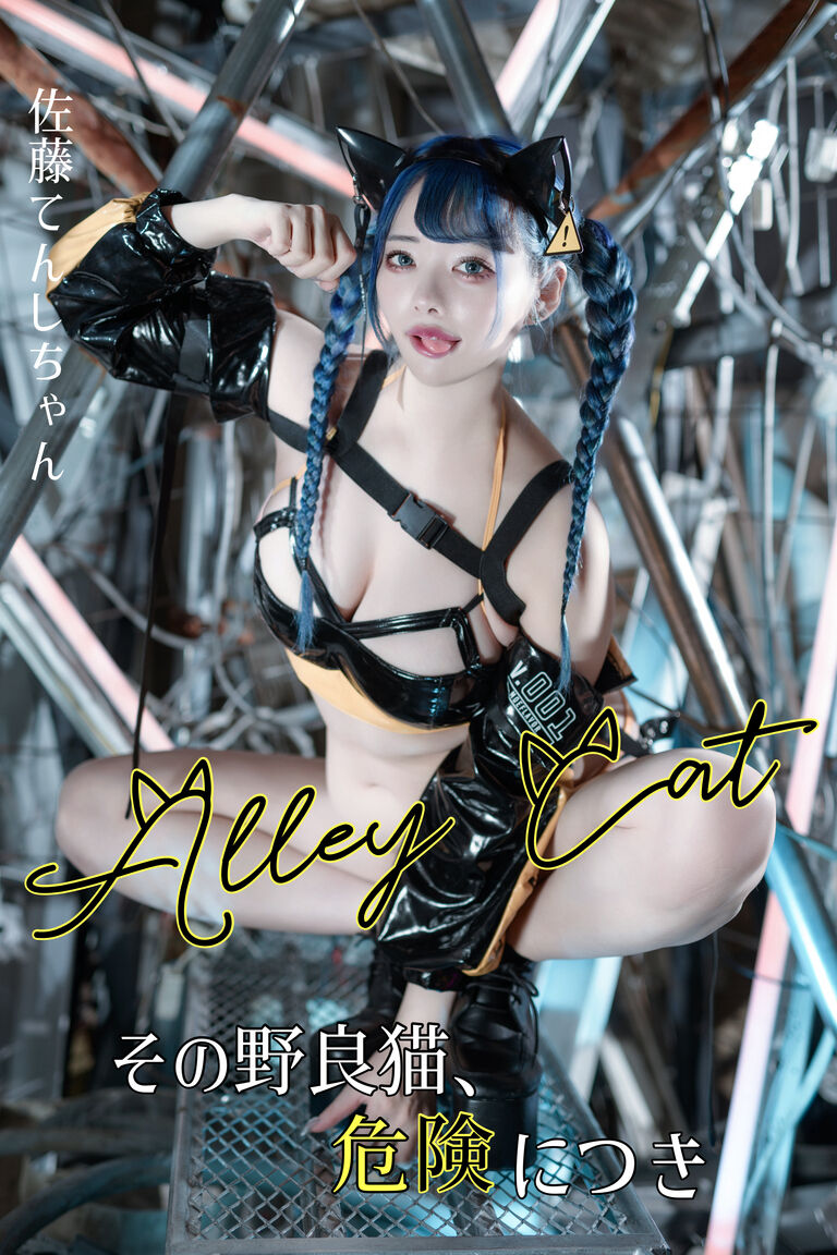 Alley Cat -その野良猫、危険につき-