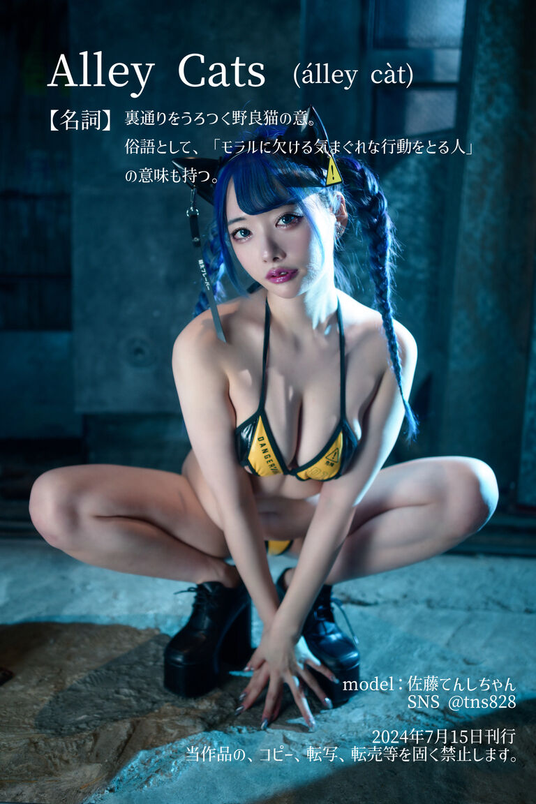 Alley Cat -その野良猫、危険につき-