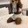 [ZENTAI] [FUR] GRN-005 男の娘にメスケモの皮を着せてみた
