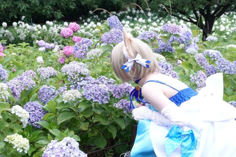 Re:フェリスから始める異世界生活