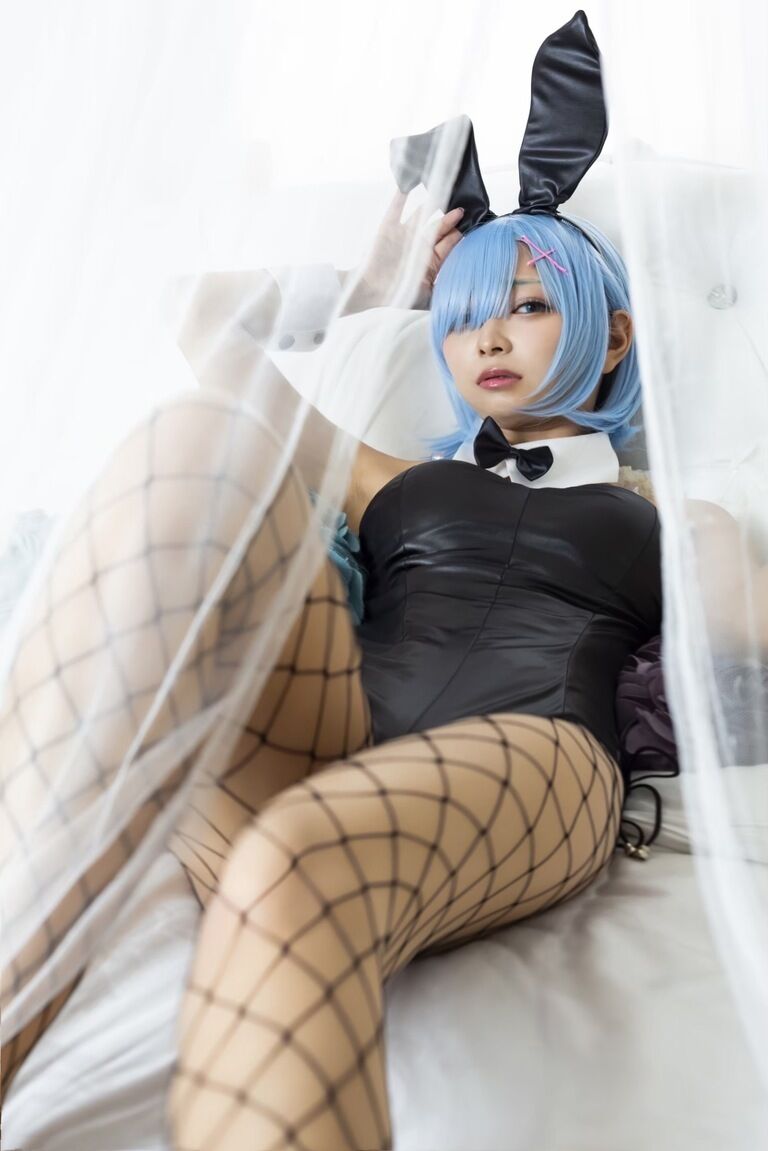 Re:ゼロから始まる動物生活