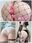お尻だらけの三本立て🍑💓ボンテージわんこのしっぽ振り❤️ガーターベルト腰クネクネ❤️網タイツでスジ見せ❤️