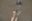 泥んこバギー