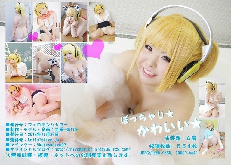 ぽちゃこれ