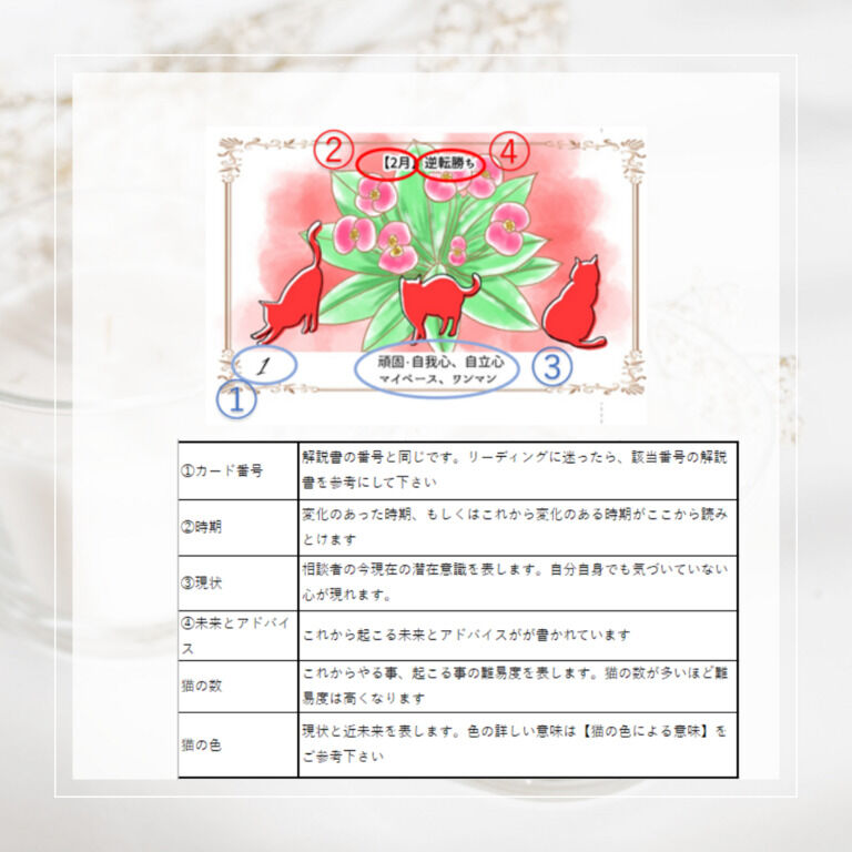 開運猫カード