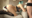 🌟初●ミク🔞ヴァンパイアver.🌟ヨリ目ベロ出しザコアクメ顔晒す美少女レイヤー!即売会場では「え、私マンコついてませんよ?」みたいな顔して写真集売ってるけど実は淫乱ムッツリスケベ!ケツ穴まで広げてペニス入ってるの結合部丸見せドМメス!【buena241】