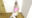 ドM願望女装娘ピンクバニーテーピング拘束