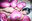 ラブ&ピーチ(ダウンロード写真集版)/LOVE＆PEACH(Download Paperback Type)