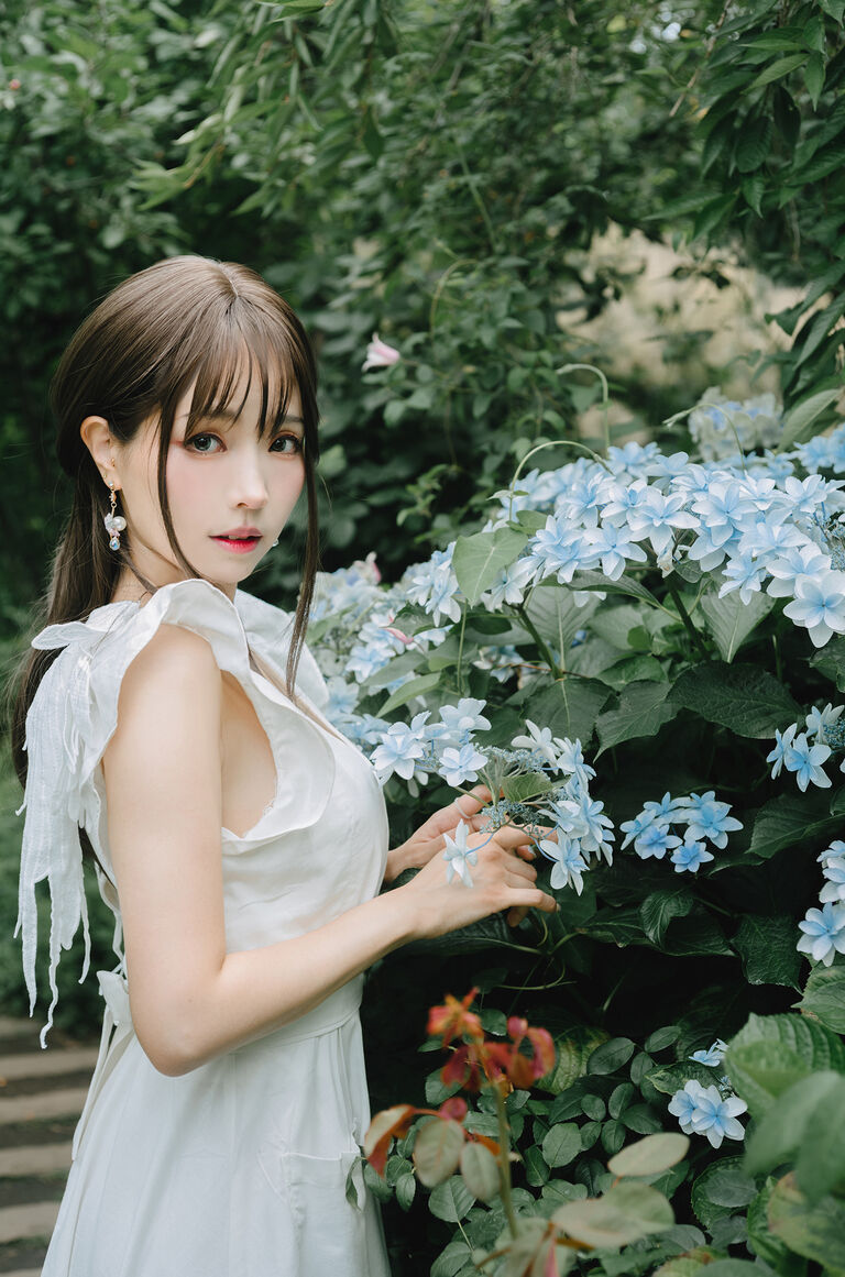 Ely【雨季アジサイ】