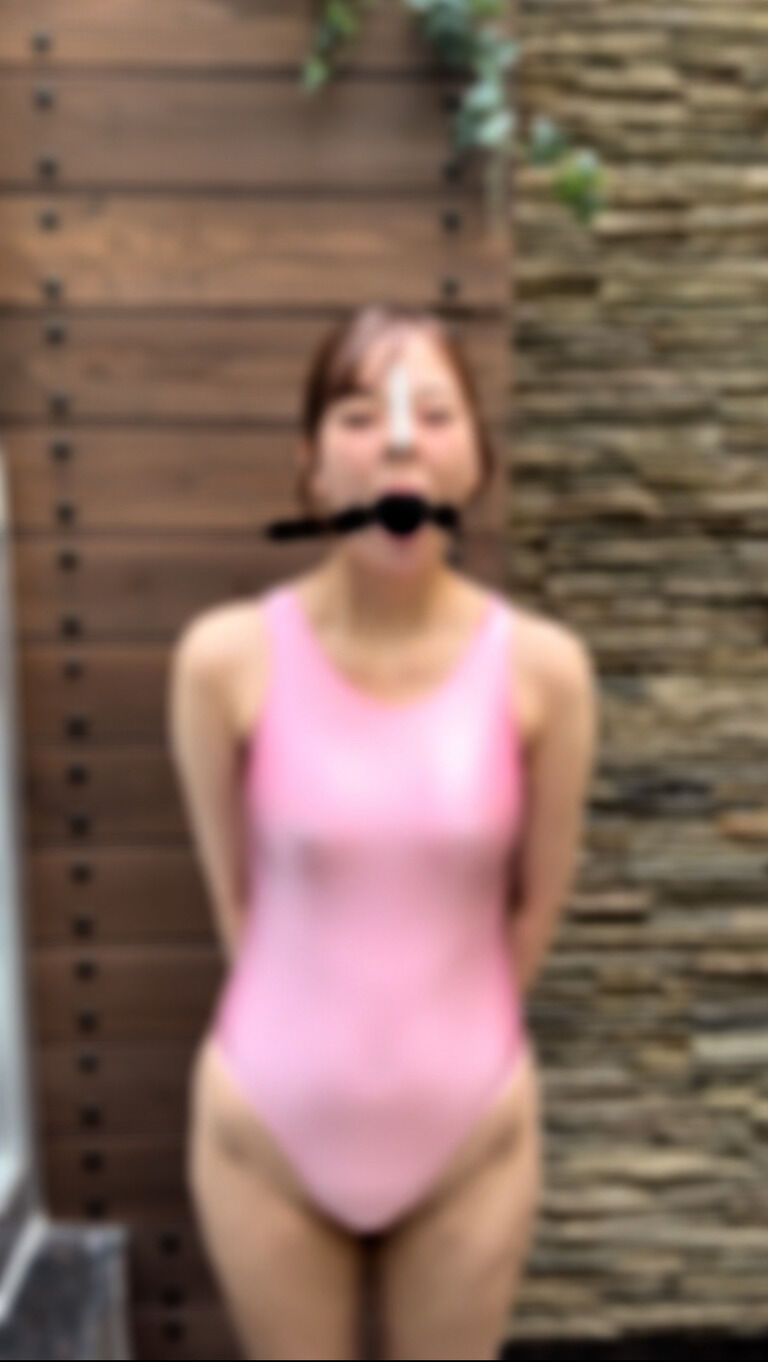 パイ投げ師のお仕事６（ルナちゃん）