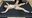【岩崎真菜】我慢美女の表情が崩れる瞬間を見逃すな！ヌルヌルローションくすぐり