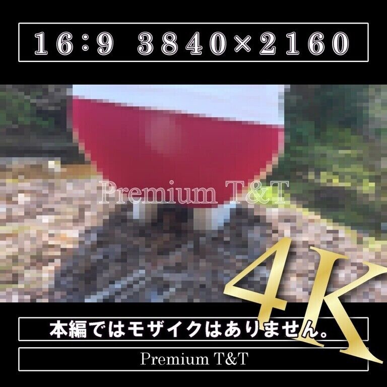 【学販】「臙脂」山を散策【KANAKO】