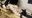 【乙羽あむ】両手両足を無慈悲に完全拘束！絶対に動けない地獄のくすぐり