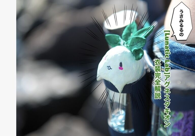「U=ma4」[Lunatic Lab]アグネスタキオン 水着写真集