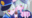 【4K/FHD】シュポ●キ_ミニ動画詰め合わせ集