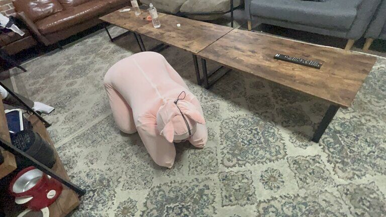 ペットガール14🐷