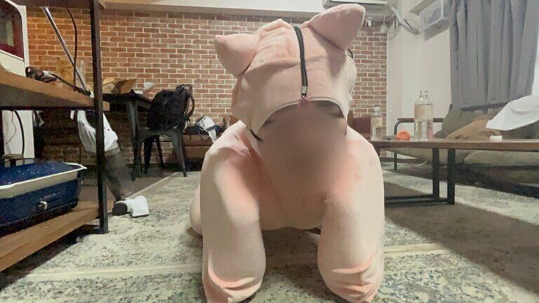 ペットガール14🐷