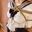 【ただ純粋に】女子学生淫縛志願　[Just purely] Female student volunteers for bondage