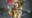【期間限定価格】The Gold ミク