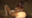 🌟K●F🔞麻●アテナ(ヌルテカオイルSEX)🌟「見てるだけじゃ満足できないんでしょ？」ローアングルや股間接写など激シコポーズ炸裂！ヌルテカエロボディで精子搾取される強烈騎乗位！立てなくなるほどイキ狂い激ピス雑魚マ〇コ！企業ブース常連レイヤーえみりすちゃん（24）【buena286】