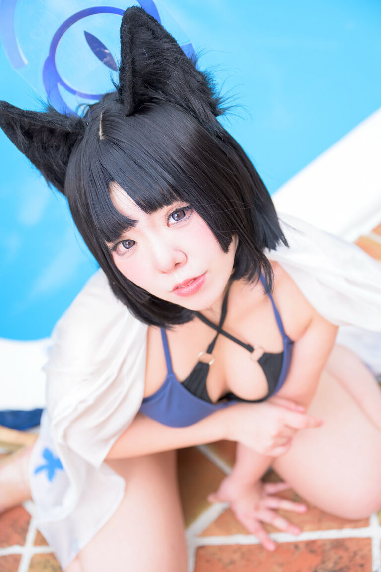 水面恋うる猫