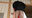 【●100▲100】A cosplay actress is shooting gravure in a Japanese garden, but gets carried away and ends up having outdoor sex with the young cameraman 07