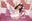 bunny & sheep &lingerie写真集💓