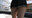 【▲100】At the station early in the morning, I spotted a female student wearing a skirt of extraordinary shortness. (001: Ichinose Meguri)