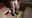 【▲100】I spotted a female student wearing an absurdly short skirt on the early morning bus.（001）