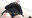 【▲100】I spotted a female student wearing an absurdly short skirt on the early morning bus.（003）