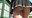 【▲100】At the station early in the morning, I spotted a female student wearing a skirt of insane length. I used a drone to follow her and secretly filmed under her skirt.(01)