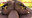 【▲100△100】A Chinese female fighter with incredible thighs gets 〇〇〇〇d23