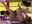 【▲100△100】A Chinese-American female fighter with incredible thighs gets 〇〇〇〇d (Nude Series 01: Missionary Position)