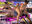 【▲100△100】A Chinese-American female fighter with incredible thighs gets 〇〇〇〇d (Nude Series 10)
