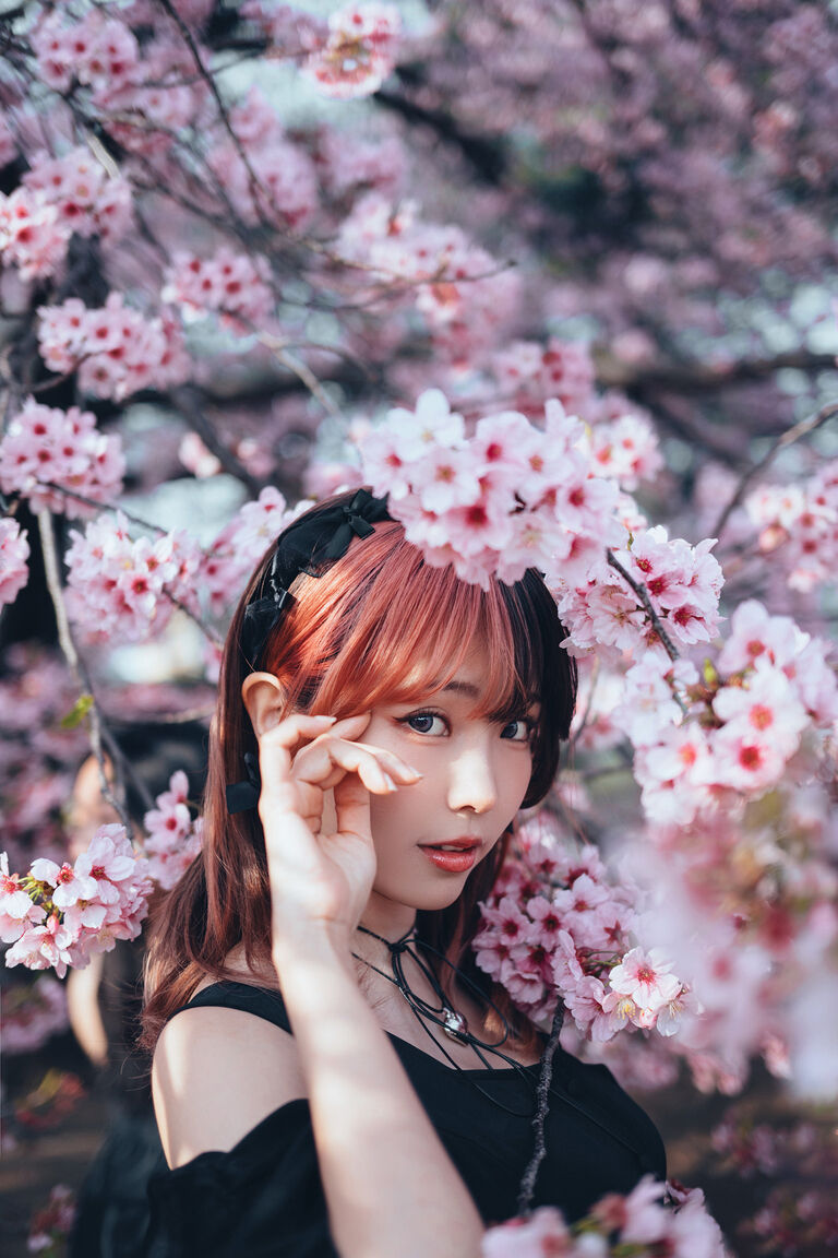 Ely【桜落影・漆黒】