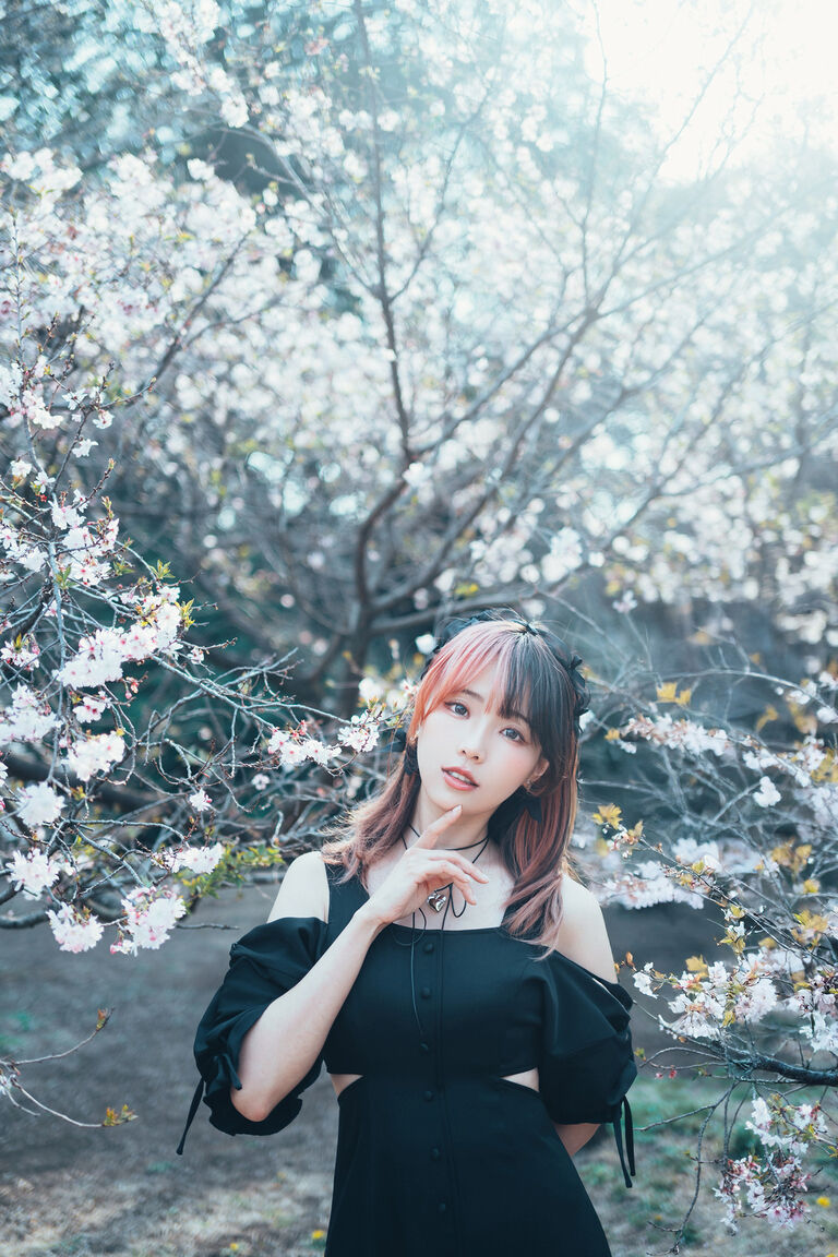 Ely【桜落影・漆黒】
