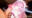 結城さ●な(Vtuber)のエロ動画