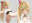 まとめN