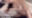 【顔出し動画+写真41枚】元カレとハメ撮り…NTR擬似SEX