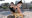 【●100△100】A Topless, slender, supremely sexy student fighter heads south under the guise of a gravure photo shoot. For POV porn filming from the start (09 Side Back)