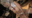 🌟F●O🔞邪ンヌ逆バニーコス(ヌルテカオイルSEX)🌟「顔出ししないなら…」というワケあり条件で頒布OKになったオタクに優しい関西弁エロかわ黒ギャルレイヤー【某ギャル雑誌の表紙モデル経験あり】プライド崩壊オホ声イキ叫びアクメ狂い！【buenaTS003】