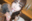 【寸止め注意⚠️】唾液手コキで射精管理してあげる💋 めるもの声でシコシコしてね🫶【No.15】